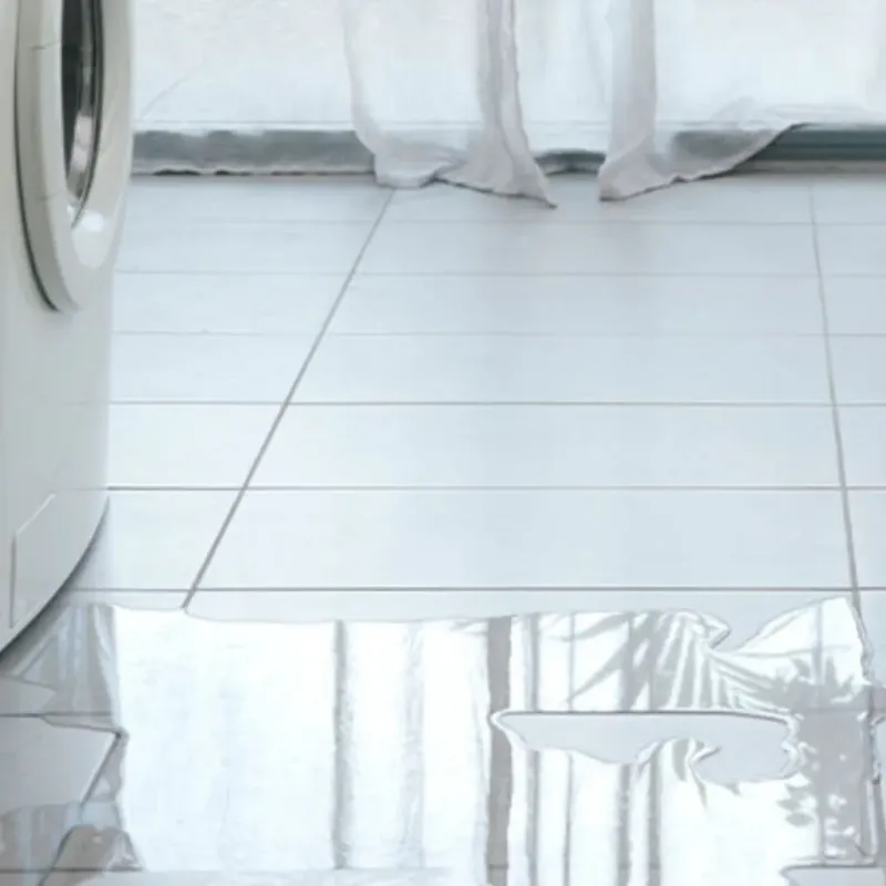 Appliance Leak Cleanup in New Gloucester, ME