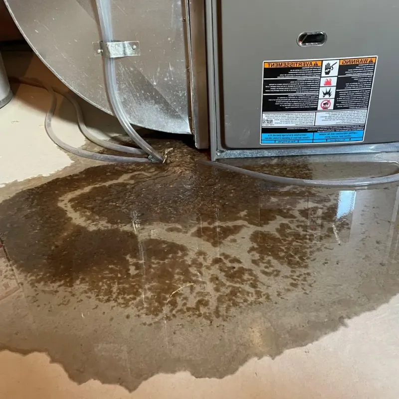 Pipe Burst and Leak Restoration in New Gloucester, ME
