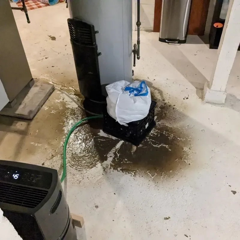 Sewage Backup Cleanup Service in New Gloucester, ME